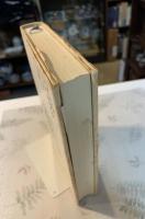 もとはこちら : 誰も教えてくれなかった「根」の生き方