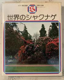 世界のシャクナゲ
