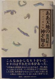 ああ天地の神ぞ知る : ニッポン発見旅