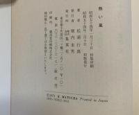 熱い嵐