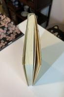 日本の名随筆　色街