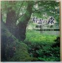 精霊の森：剣山「一の森」やのみちよ写真集