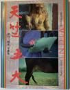 天竺五大 : 伊丹三樹彦写俳集