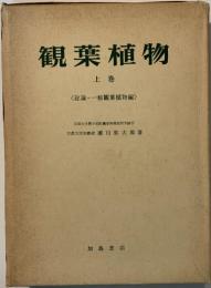 観葉植物