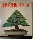 図解松柏盆栽の仕立て方