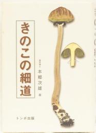 きのこの細道