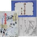 南海・チリー地震津波録　海からの警告(第ー・ニ集)