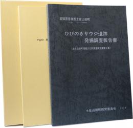 ひびのきサウジ遺跡発掘調査報告書(同遺跡遺構全体図)