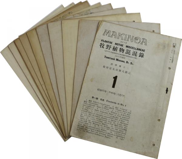 牧野植物混混録 牧野富太郎個人雑誌 全14 植物名索引共15冊の内1 12 牧野富太郎 井上書店 古本 中古本 古書籍の通販は 日本の古本屋 日本の古本屋 牧野植物混混録 牧野富太郎個人雑誌 全14 植物名索引共15冊の内1 12 牧野富太郎 井上書店 古本 中古本 古書籍の通販は 日本の古本屋 日本の古本屋