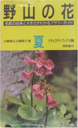 野山の花　夏
