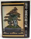 皐月盆栽技術大観