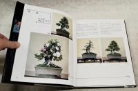 皐月盆栽技術大観