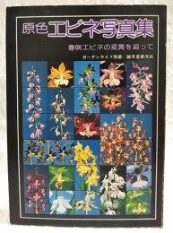 原色エビネ写真集 : 春咲エビネの変異を追って　ガーデンワイフ別冊