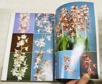 原色エビネ写真集 : 春咲エビネの変異を追って　ガーデンワイフ別冊