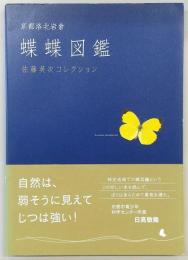 蝶蝶図鑑 : 京都洛北岩倉 : 佐藤英次コレクション