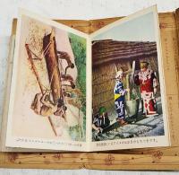 社会科参考　物しり絵はがき　（小学五年生 昭和29年5月号付録）