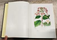 牧野日本植物図鑑  復刻版