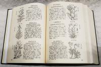 牧野日本植物図鑑  復刻版