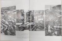 土佐湾台風 : 10号のつめ跡