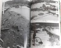 豪雨パニック : '98高知大水害の記録 : 報道写真集