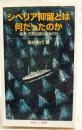 シベリア抑留とは何だったのか : 詩人・石原吉郎のみちのり