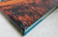 グレン・マーカットの建築