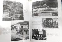 目で見る高知・南国の100年