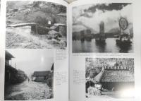 目で見る高知・南国の100年