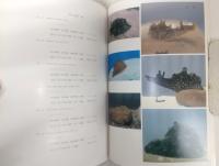 室戸産海岸動物図鑑