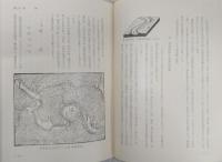 中村市史　(高知県)