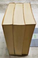 中島敦全集 1～3巻 (全3巻)  ちくま文庫