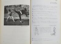 秘伝截拳道への道