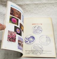 アイヌ民族博物館