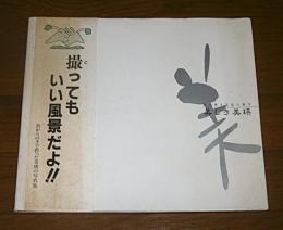 美しき美瑛　風の輝き草原の輝き　(写真集　写真67点)