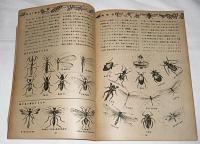 小学生の理科　学習資料　4冊セット(東北編/関東編/東海編/近畿編)