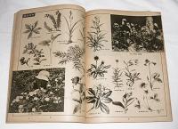 小学生の理科　学習資料　4冊セット(東北編/関東編/東海編/近畿編)