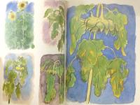 馬場のぼるのスケッチブック