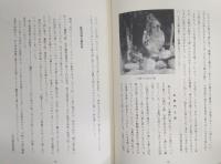 東津野村史　(高知県)