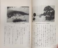 高知生コン事件の全貌：二十一世紀への案内の書