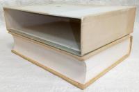 清岡卓行全詩集