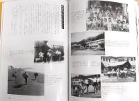 目で見る土佐・須崎・高岡の100年