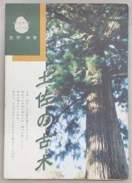 土佐の古木　<こうちガイドシリーズ>