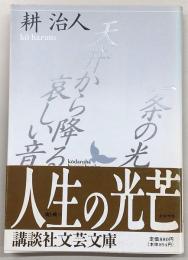 一条の光・天井から降る哀しい音