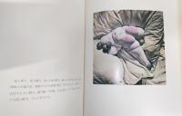 イマージュの解剖学