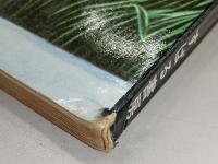 絵本づくり：絵本をつくりたい人へ　<月刊絵本別冊>