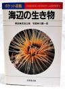 海辺の生き物