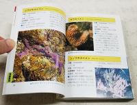 海辺の生き物