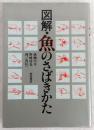 図解・魚のさばきかた