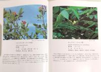 四万十川の植物自然：四万十川植生観察副読本