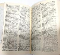 大学書林エスペラント小辞典